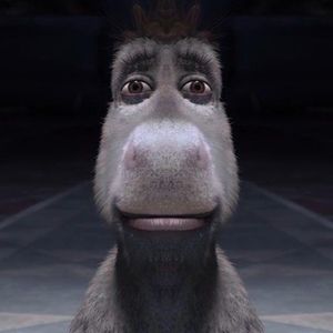 Meet your Posher, Kenan